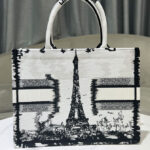 Christian Dior Medium Dior Book Tote